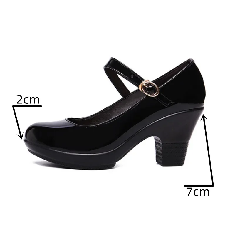 Kích Thước Nhỏ 32-43 Vừa Chặn  - đánh giá và giá Women'S Shoes Red Bottoms